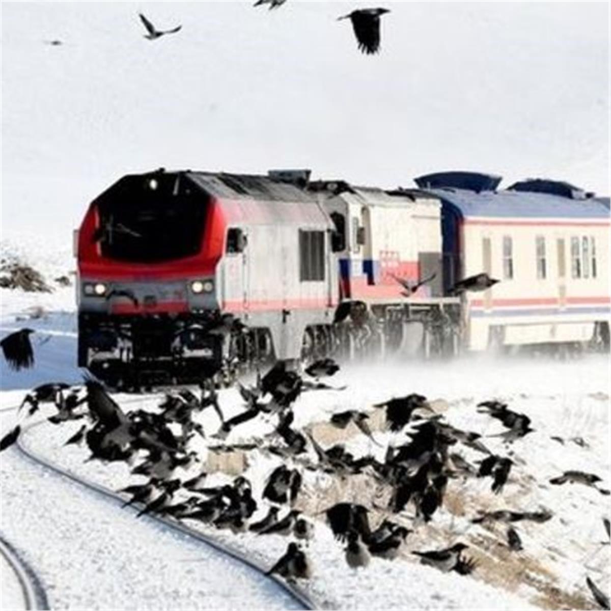 İzmir Uçak İle Hareketli 3 Gece 4 Gün Konaklamalı Tren ve Uçak Biletleri Dahil Vangölü Ekspresi Turu