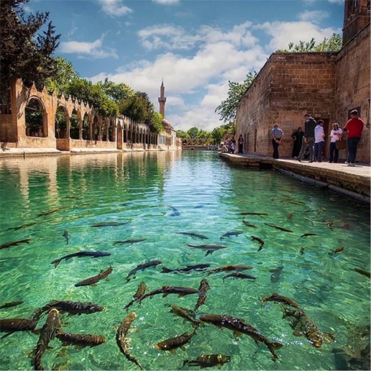 İzmir Uçak İle Hareketli 2 Gece 3 Gün Konaklamalı Butik Diyarbakır Mardin Urfa Gaziantep Turu