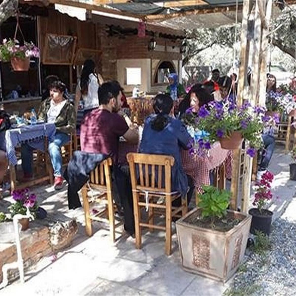 Şirince Zeytin Gölgesi Serpme Köy Kahvaltısı