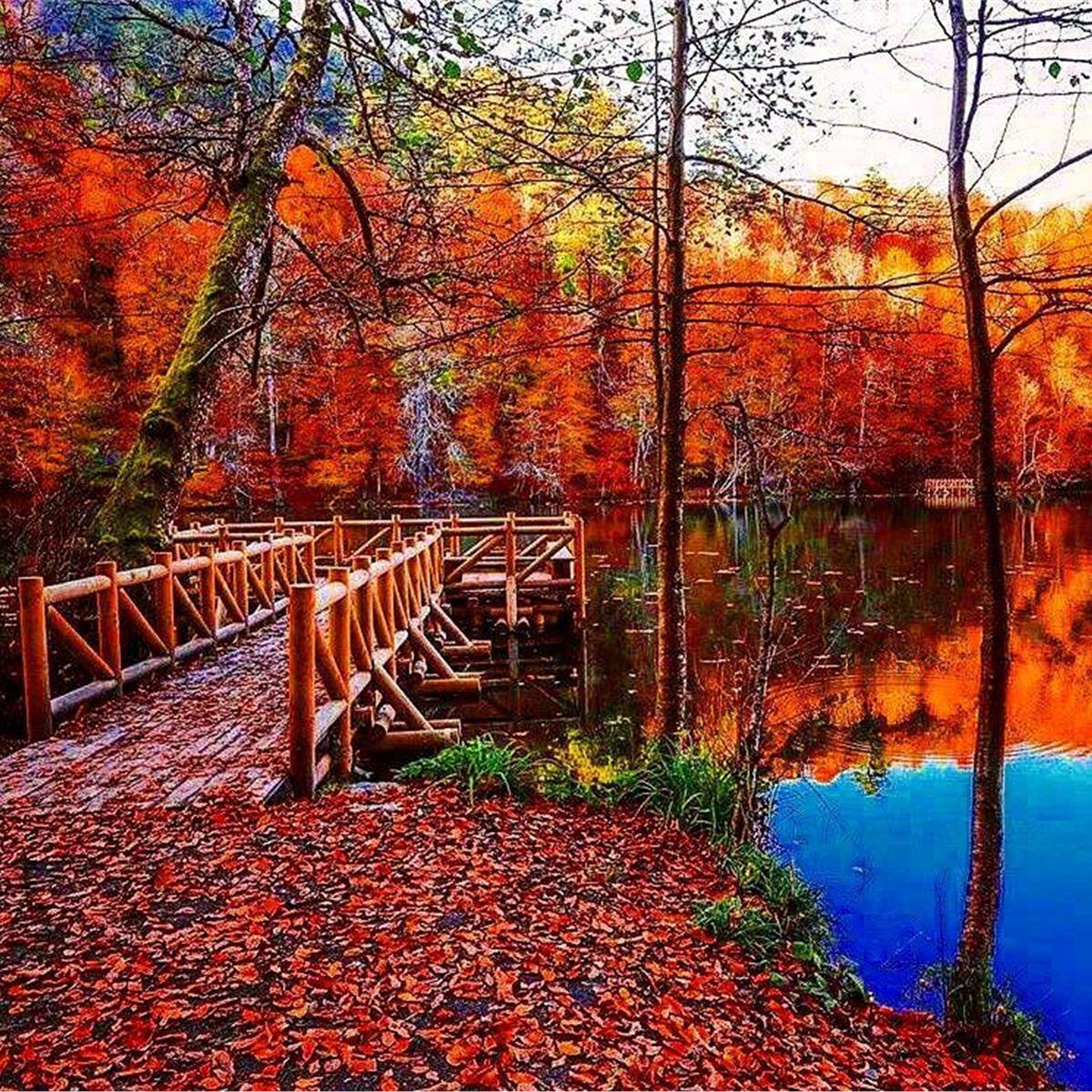 İzmir Çıkışlı 1 gece 2 gün Abant, Yedigöller, Safranbolu, Gölcük, Amasra ile Batı Karadeniz Turu