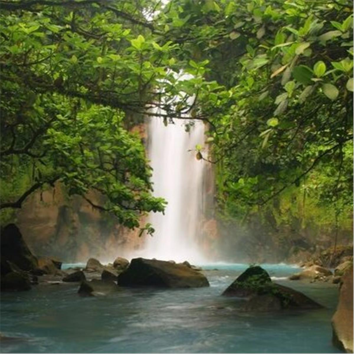 İzmir Kalkışlı Günübirlik Eşsiz Doğa Güzellikleri İle Kazdağları Cunda Turu