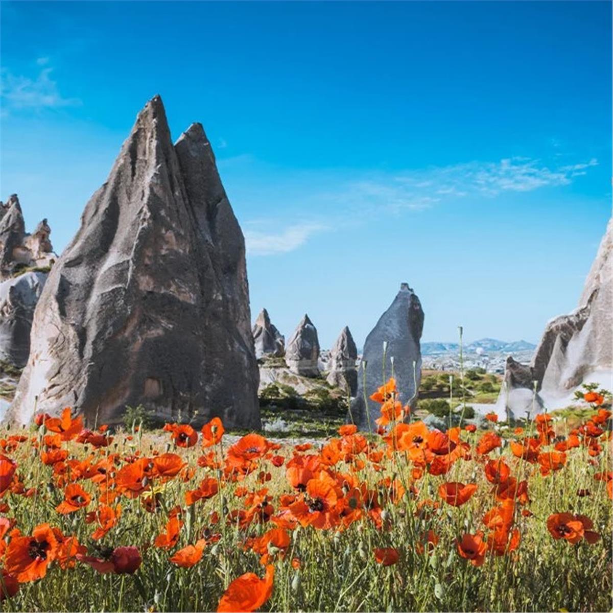 İzmir'den Otobüs İle Hareketli 1 Gece 2 Gün Konaklamalı Konya Şeb-i Arus ve Kapadokya Turu.