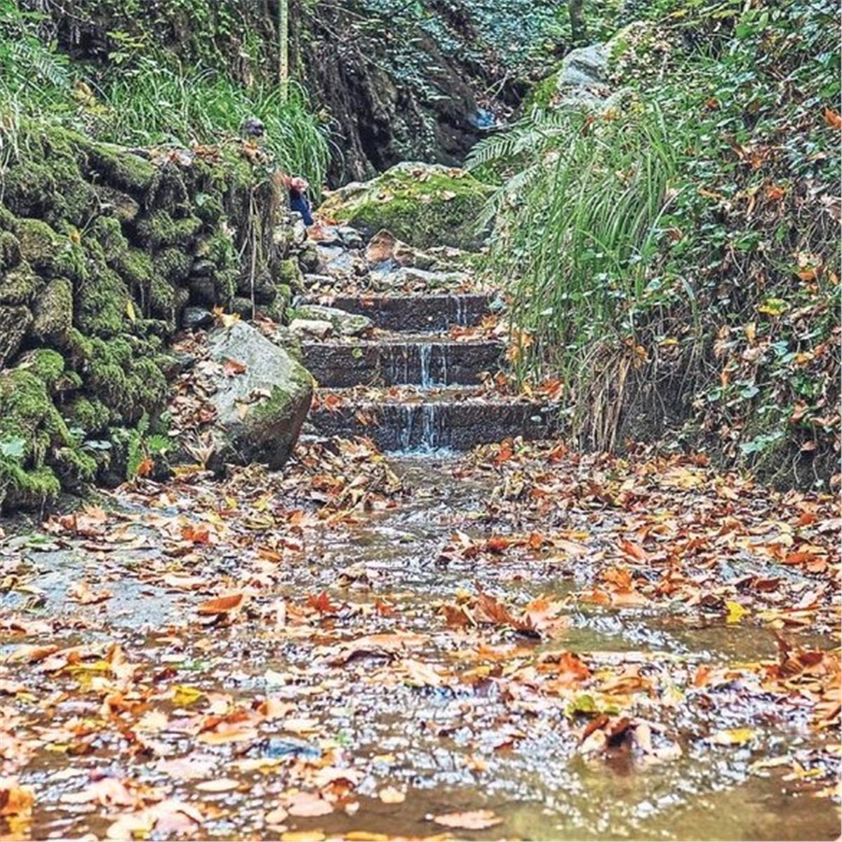 İzmir Çıkışlı Günübirlik Çakırağa Konağı, Ulu Camii ve Dede Türbesi İle Beydağ Ödemiş Birgi Turu