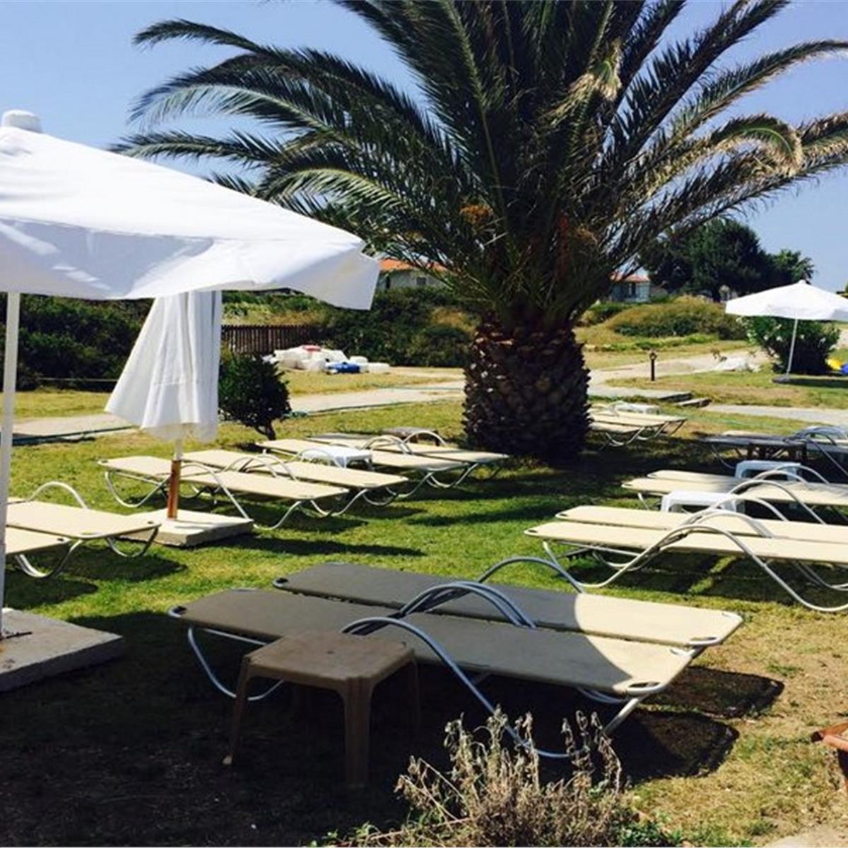 Çeşme Dodo Beach Gün Boyu Beach Kullanımı ile Kahvaltı veya Hamburger Menü