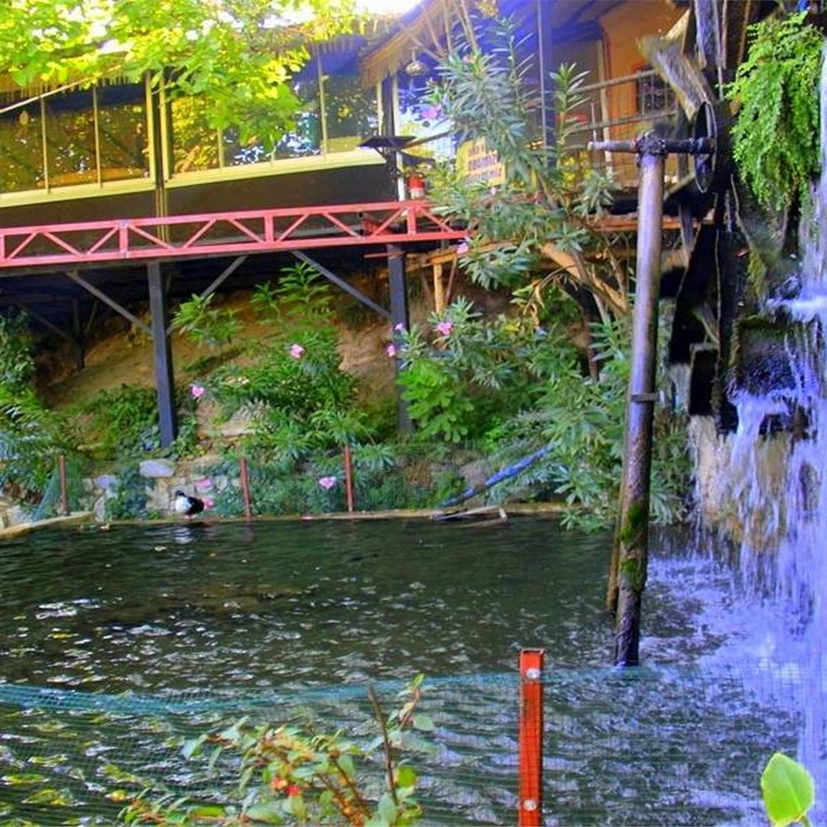 İzmir Kalkışlı 25 Eylül Cumartesi Günübirlik Tire İncir, Ceviz Festivali Turu