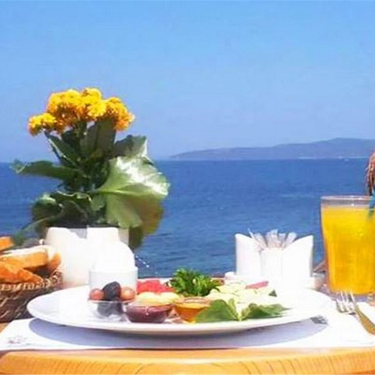 Mordoğan Ayıbalığı Seal Beach 2 Kişi Konaklama, Kahvaltı ve Beach Keyfi