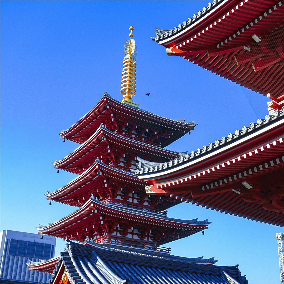 İzmir'den Uçaklı 8 Gece 9 Gün Konaklamalı Tüm Ekstralar Dahil Osaka & Kyoto & Tokyo İle Royal Japonya Turu