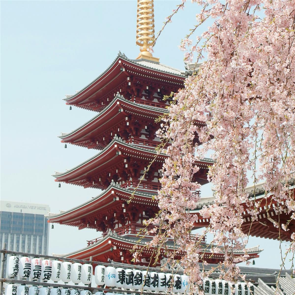 İzmir'den Uçaklı 8 Gece 9 Gün Konaklamalı Tüm Ekstralar Dahil Osaka & Kyoto & Tokyo İle Royal Japonya Turu