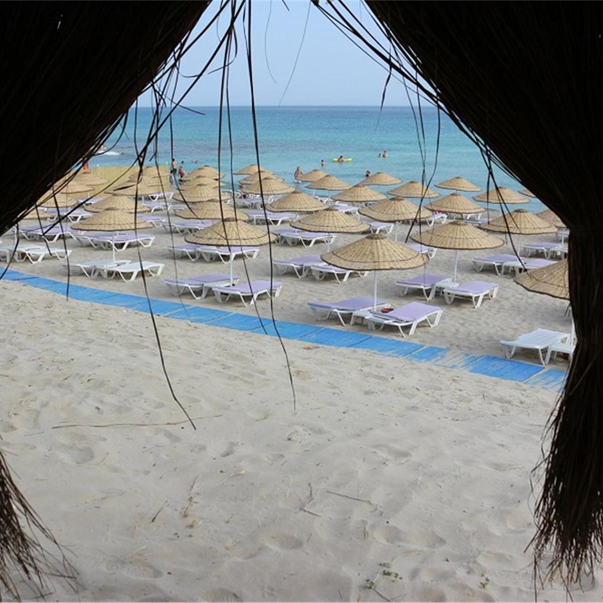 Çeşme Dharma Beach Club Giriş ve Menüler