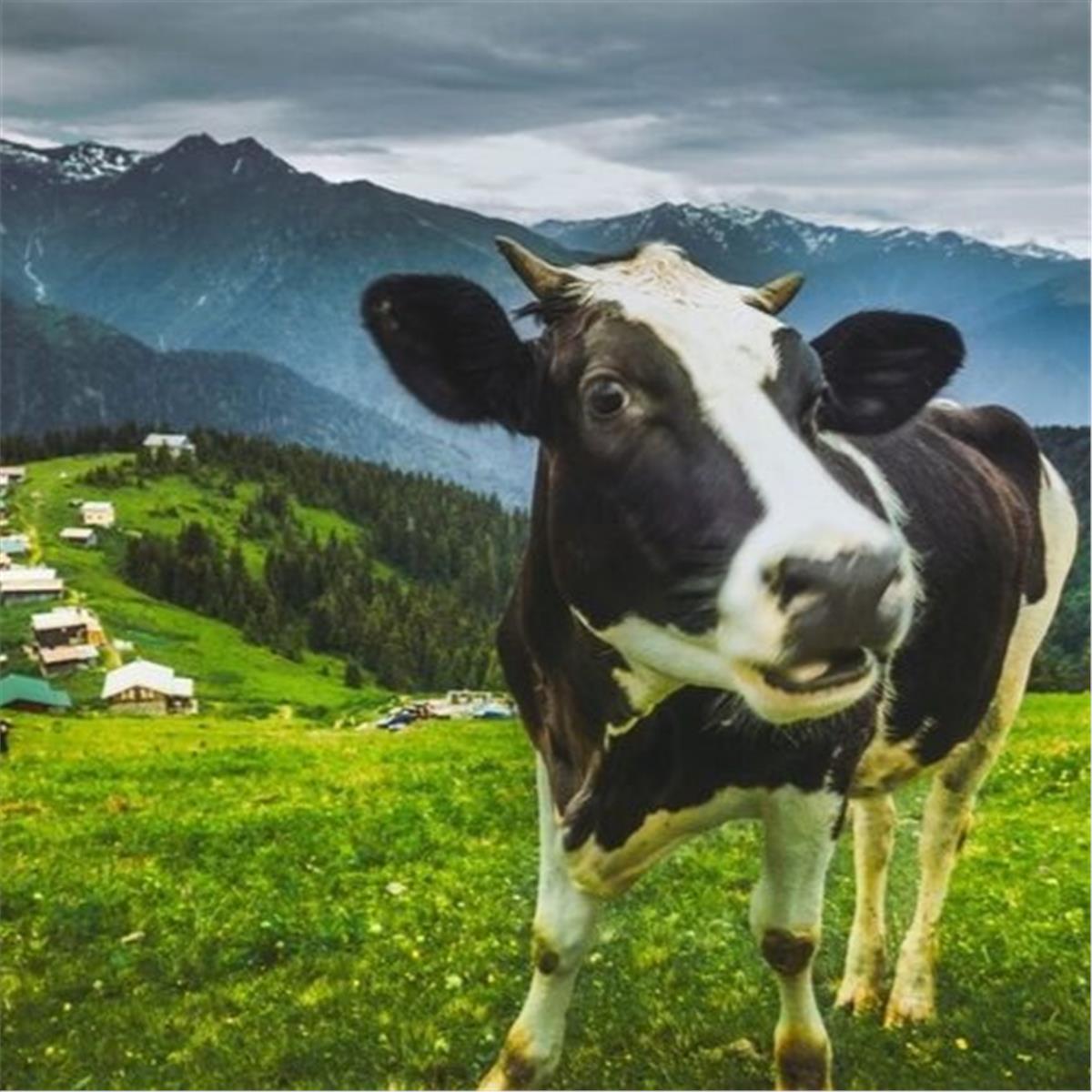 Bir Başka Karadeniz