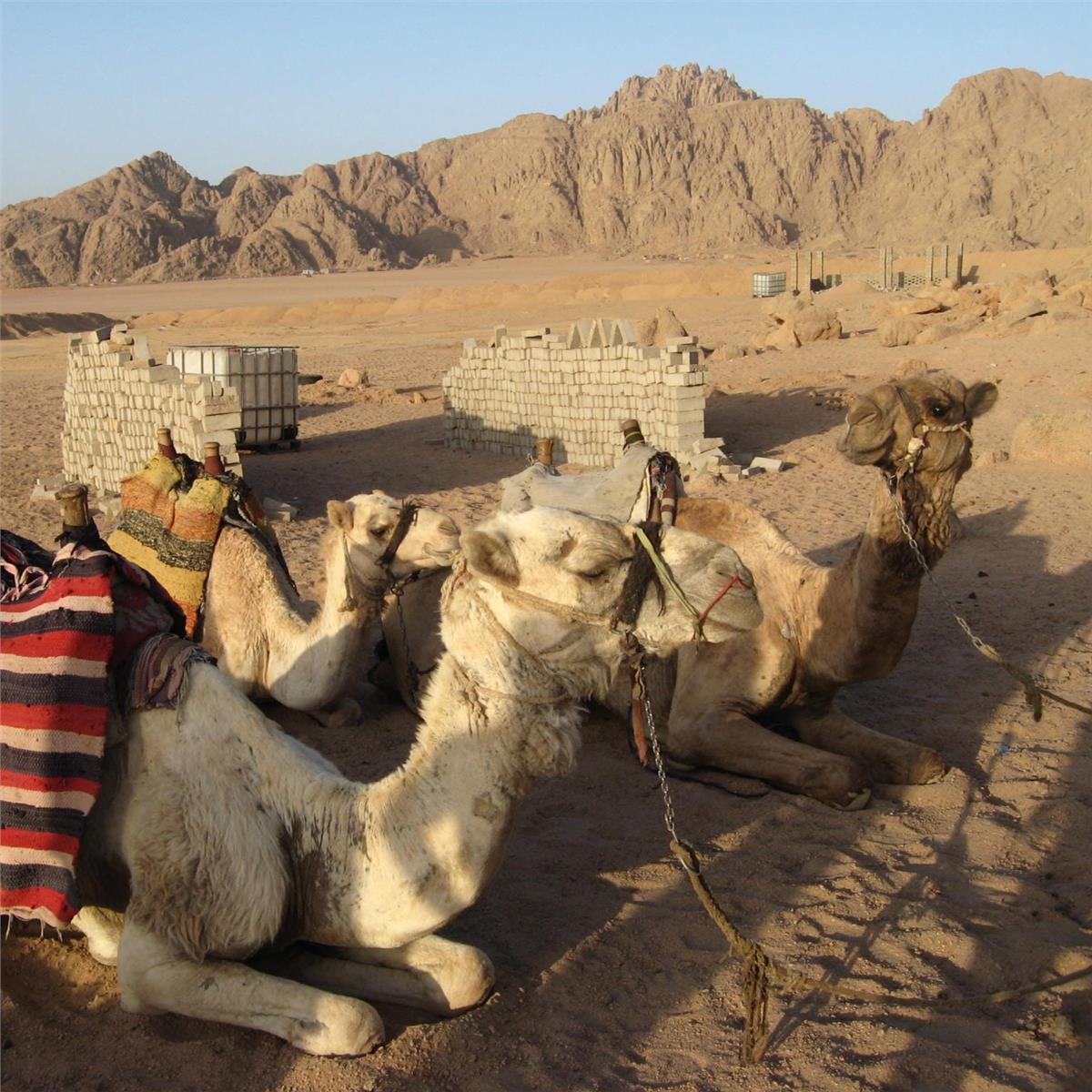 İzmir'den Uçaklı Ramazan Bayramı Özel 3 Gece 4 Gün Konaklamalı Vizesiz Sharm El Sheikh