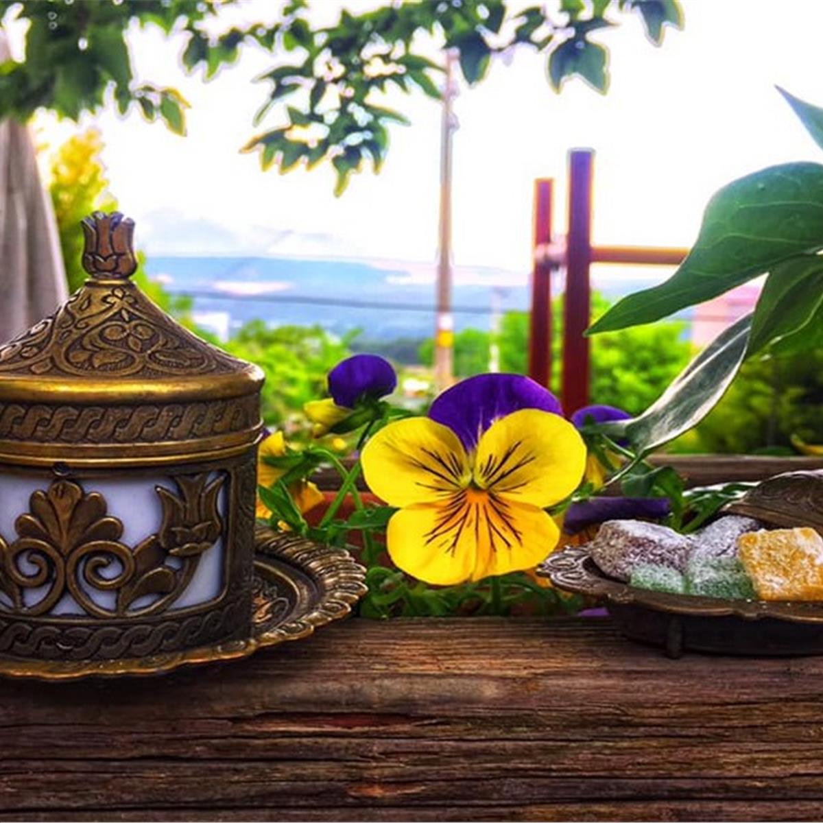 Çiçekliköy Zeytindalı Kahvaltı Evi’nde Enfes Serpme Köy Kahvaltısı