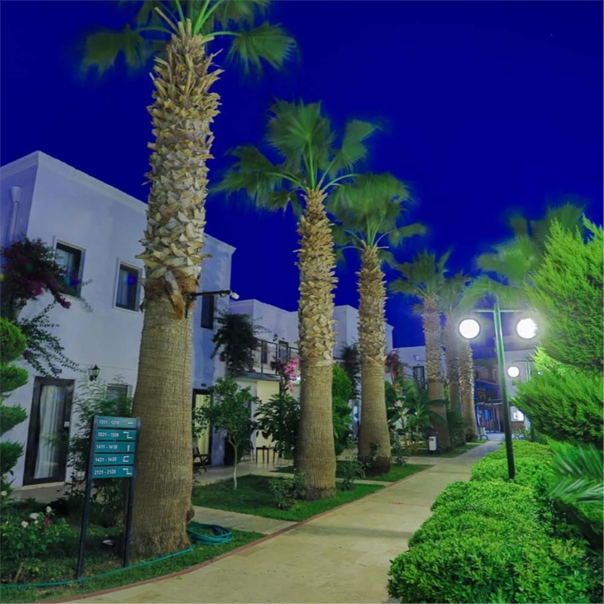 İzmir'den Ulaşımlı 3 Gece 4 Gün 4* Anadolu Hotel Her Şey Dahil Konaklama