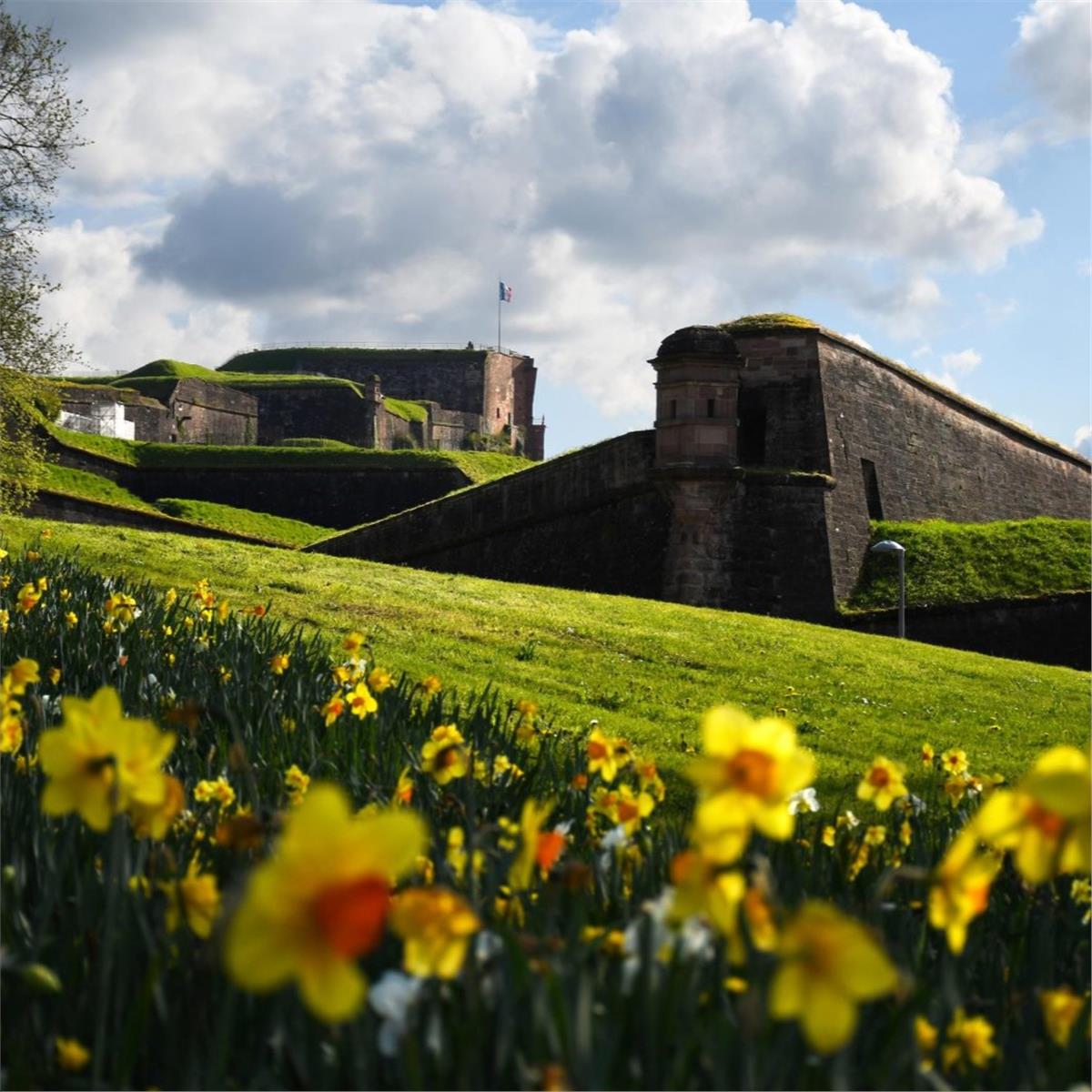 İzmir'den Uçaklı 6 Gece 7 Gün Konaklamalı Fransa İsviçre Almanya Rüyası Turu