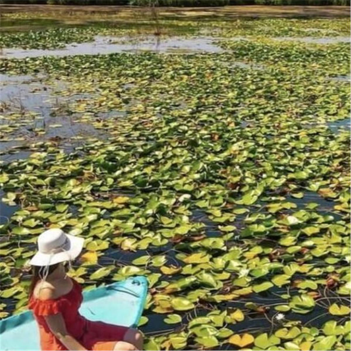 Günübirlik Işıklı Göl, Isparta, Gül Hasadı Turu