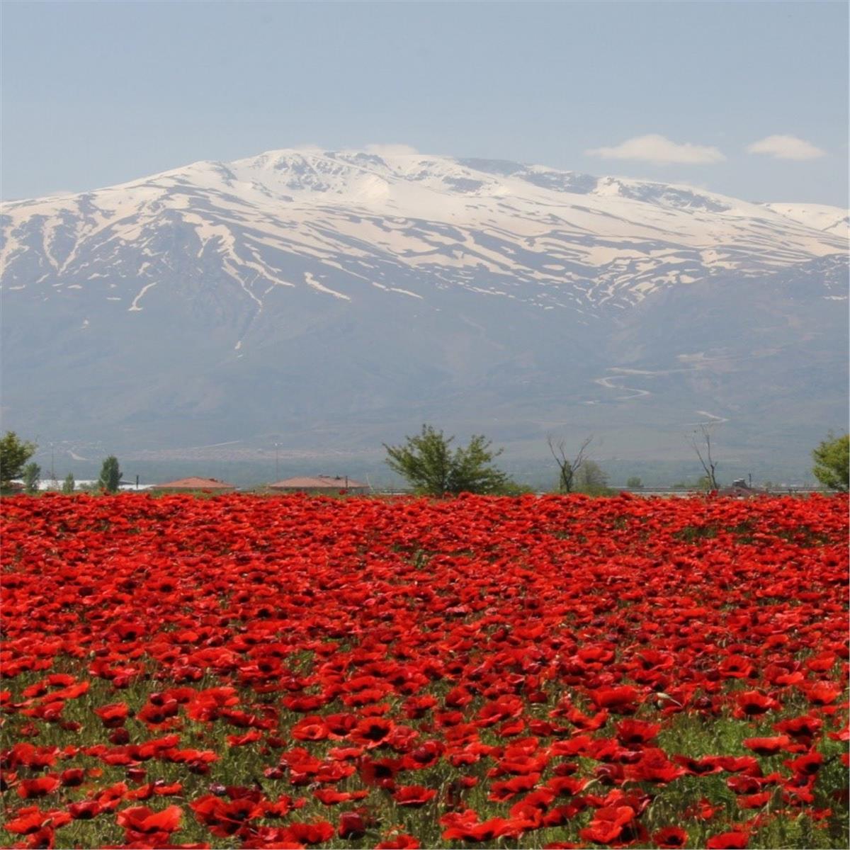 İzmir'den Uçaklı 4 Gece 5 Gün Konaklamalı Malatya Tunceli Elazığ Kemaliye Sivas Turu
