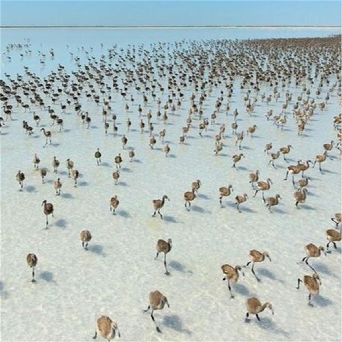 İzmir'den Hareketli 2 Gece 3 Gün Konaklamalı Aksaray, Kırşehir ve Konya İle Aşıklar Diyarına Yolculuk