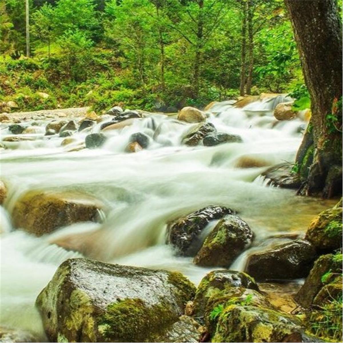 İzmir'den Kalkışlı Ramazan Bayramı Özel 6 Gece 7 Gün Batum Konaklamalı Keyif Karadeniz Turu