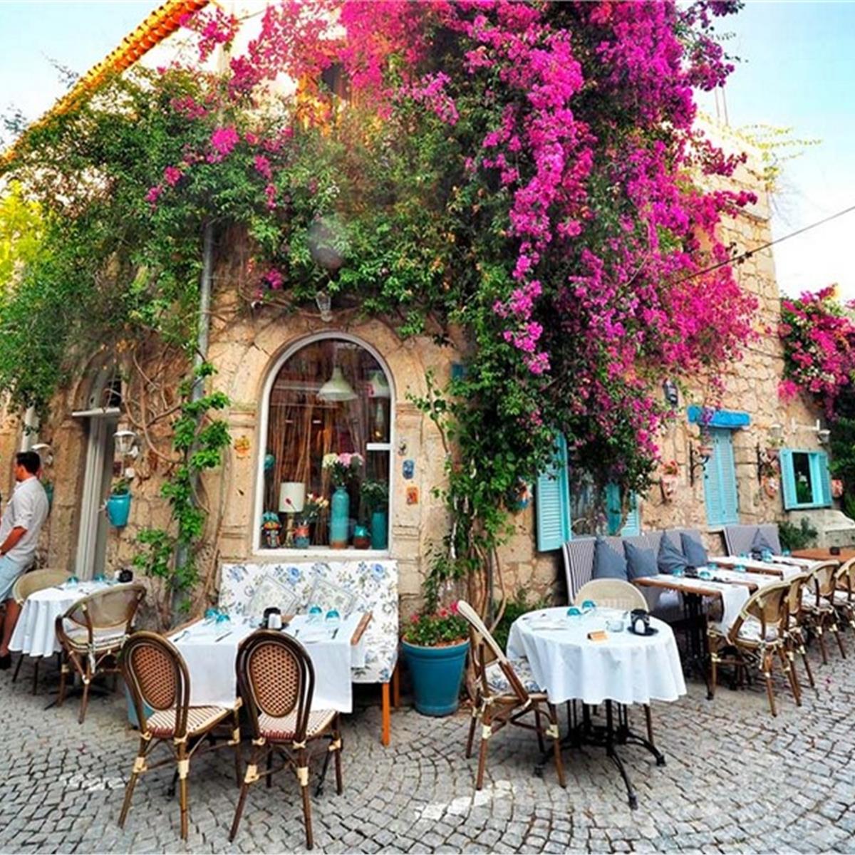 İzmir Çıkışlı Günübirlik Alaçatı Ot Festivali Turu