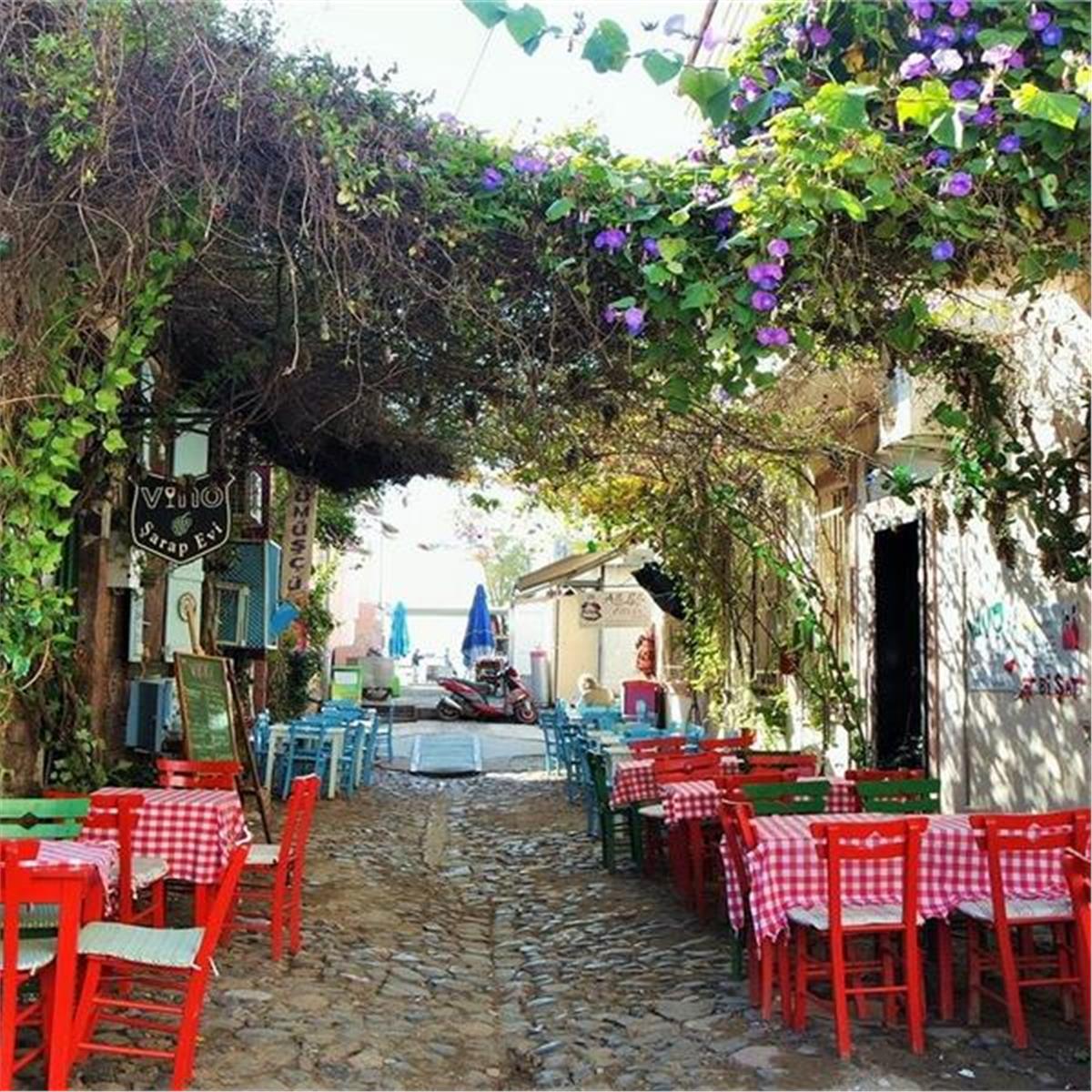 İzmir Çıkışlı Günübirlik Kazdağları, Cunda Adası, Hasan Boğuldu ve Sütüven Şelalesi. Üstelik Sarımsaklı Plajı Yüzme Molalı ve Serpme Kahvaltı Dahil.