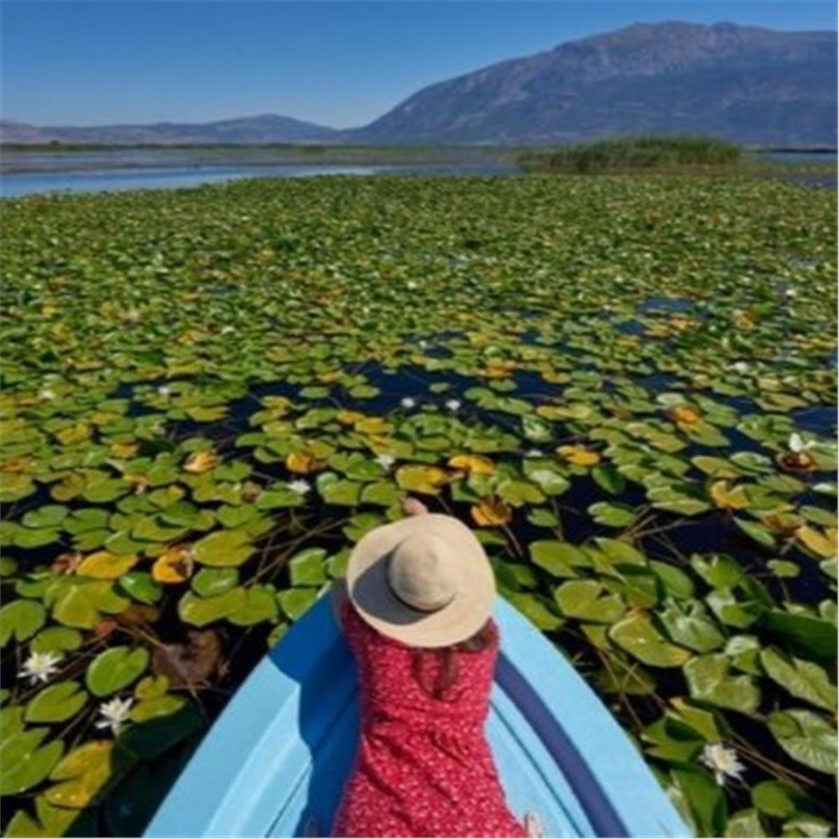 İzmir Çıkışlı Günübirlik Dünyanın En Büyük Nilüfer Tarlası İle Işıklı Gölü Turu