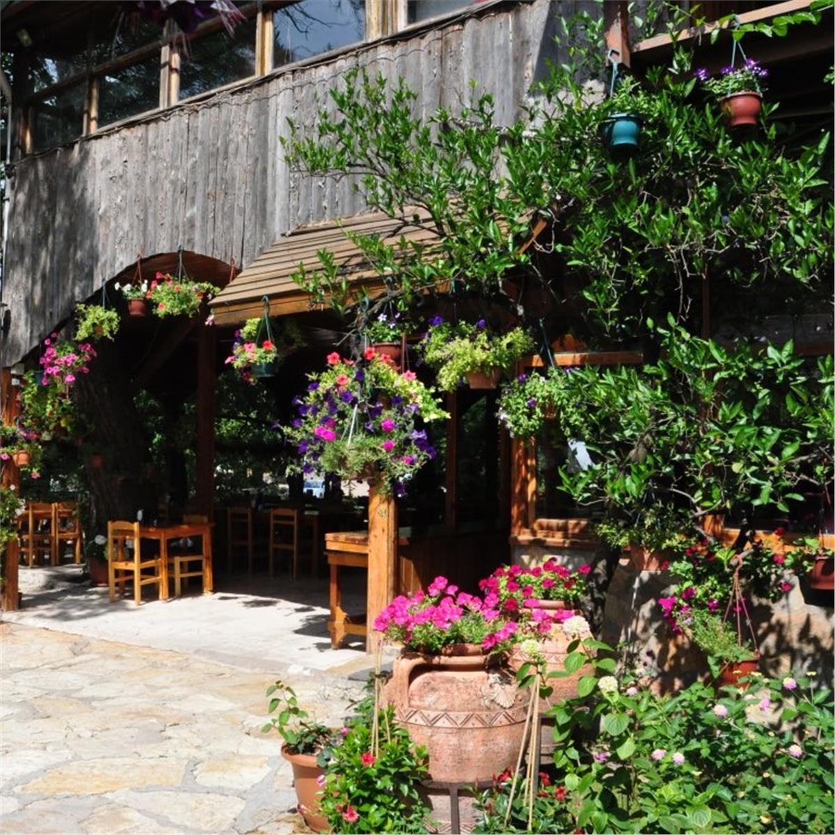 İzmir Çıkışlı 3 gece 4 gün Bungalow konaklamalı Olympos Tatil Turu. Kaputaj Plajı, Tekne Turu, Suluada, Phaselis, Adrasan ile Eğlence dolu bir tatil keyfi.