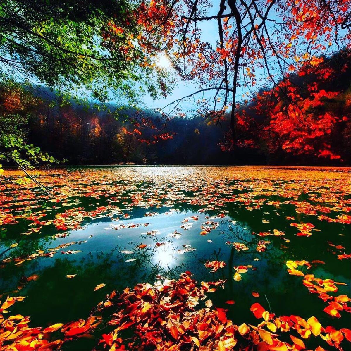 İzmir Çıkışlı 1 gece 2 gün Abant, Yedigöller, Safranbolu, Gölcük, Amasra ile Batı Karadeniz Turu