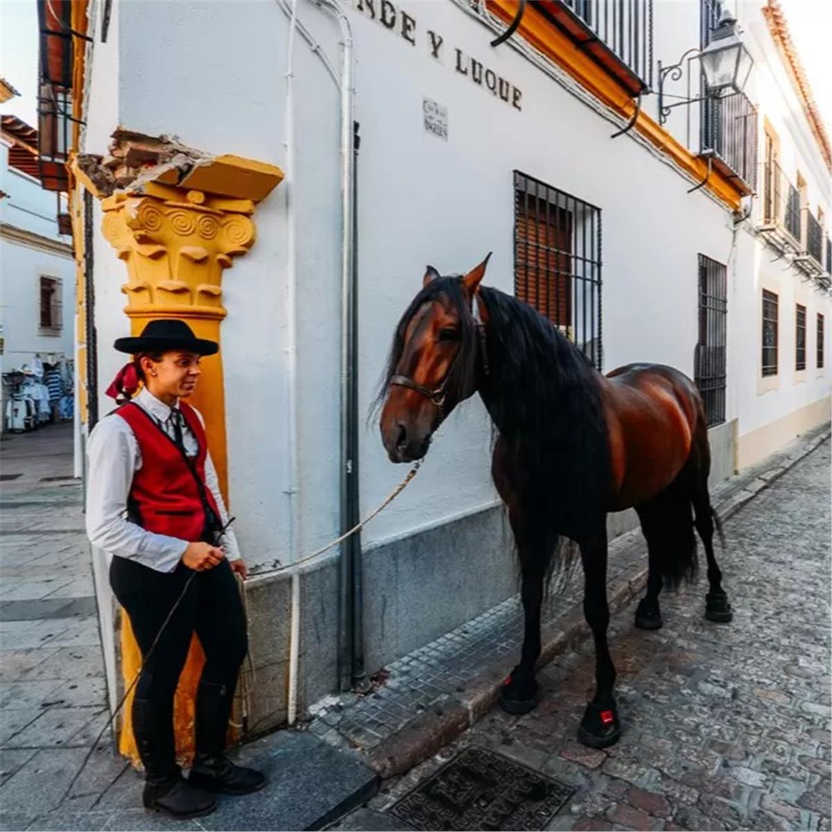 İzmir'den Uçak İle Hareketli 7 Gece 8 Gün Konaklamalı İspanya ve Endülüs İkonları Turu