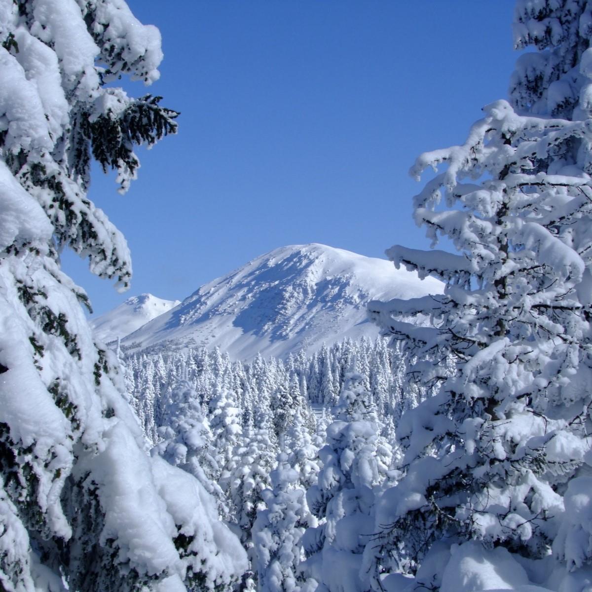 İzmir'den Hareketli 1 Gece 2 Gün Konaklamalı Ilgaz Kayak Merkezi Safranbolu Turu