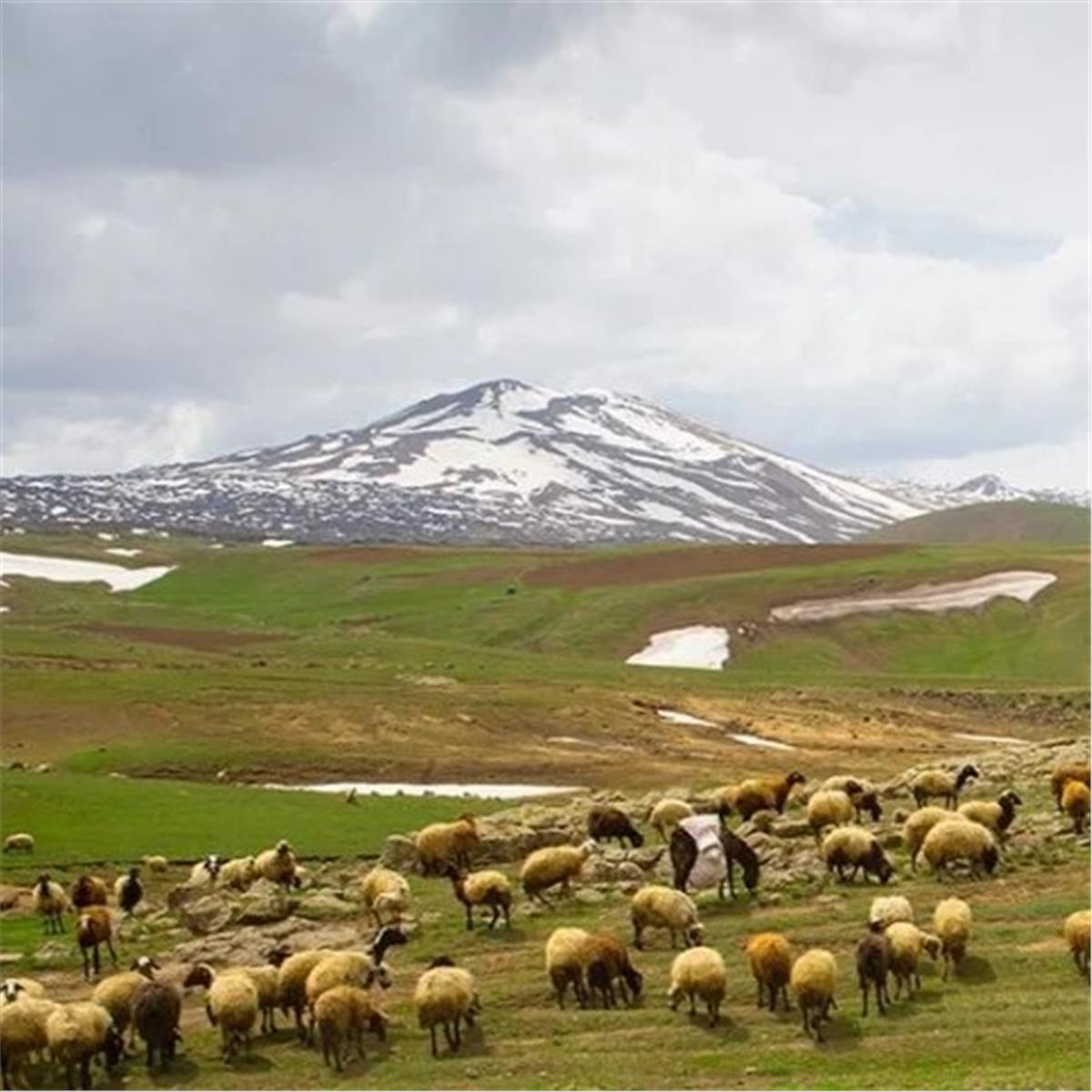 Sevgililer Günü Özel İzmir'den Uçak İle Turistik Doğu Ekspresi Tren Konaklamalı 3 Gece 4 Gün Doğu Ekspresi Turu
