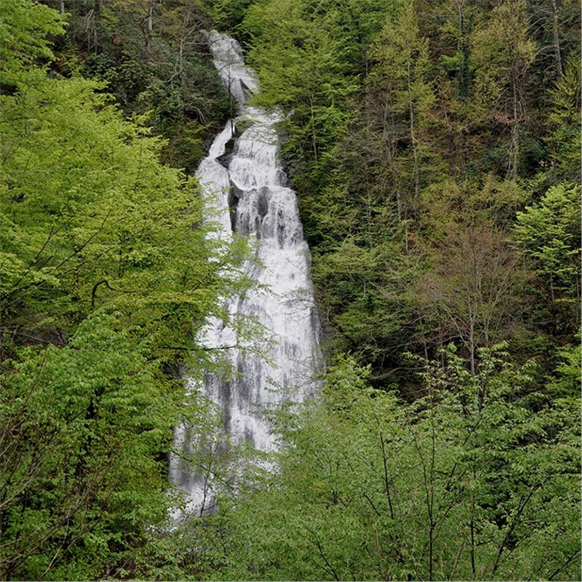 İzmir Çıkışlı 1 Gece 2 Gün Topuk Yaylası Konaklamalı Topuk Yaylası Efteni Gölü Turu