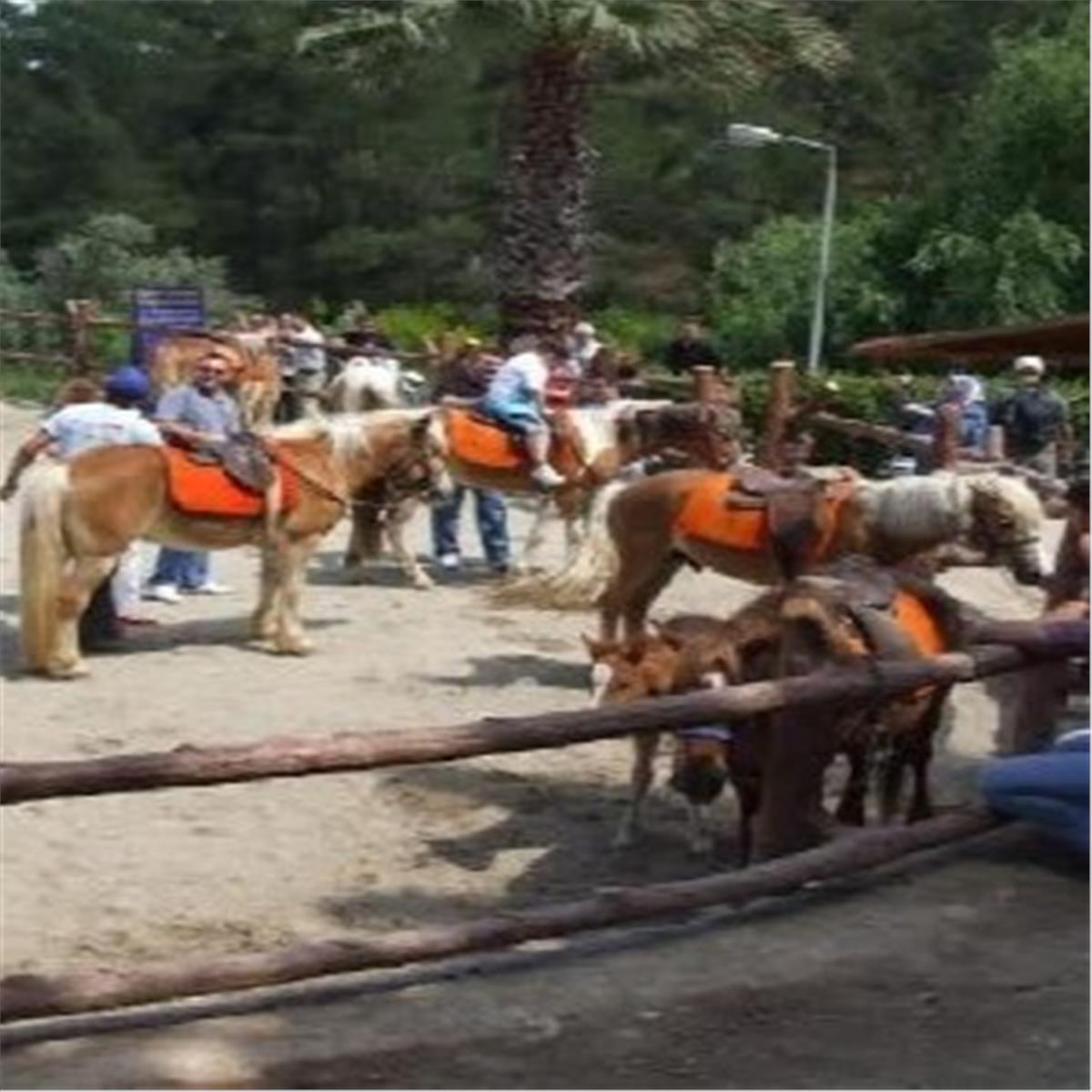 İzmir Çıkışlı Günübirlik Çiçekli Köy Kımız At Çiftliği Turu