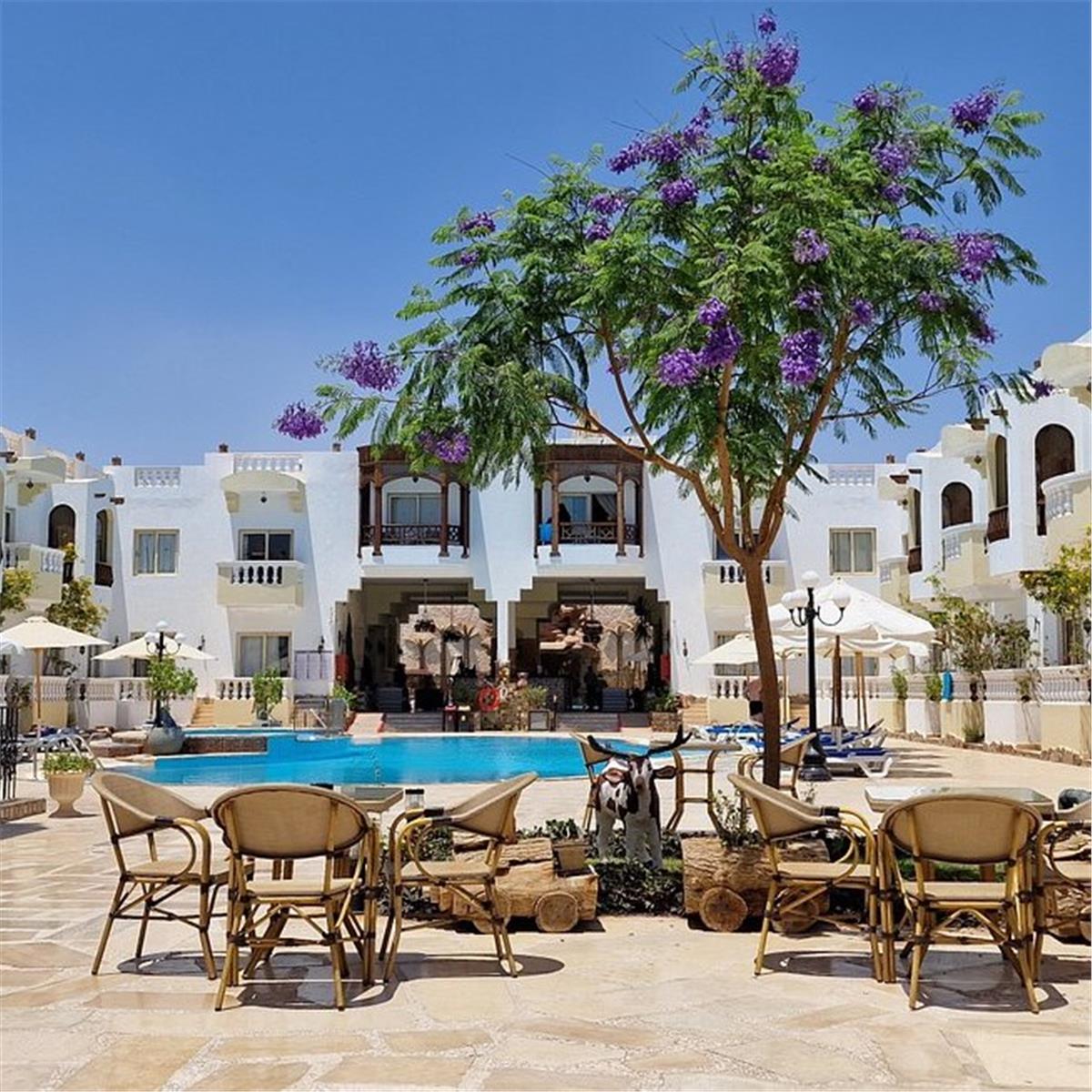 İzmir'den Uçaklı 3 Gece 4 Gün Oriental Rivoli Hotel Konaklamalı Sharm El Sheikh Turu