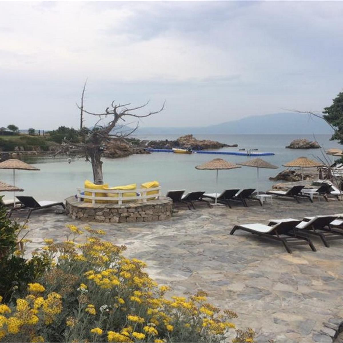 Çeşme Dodo Beach Gün Boyu Beach Kullanımı ile Kahvaltı veya Hamburger Menü
