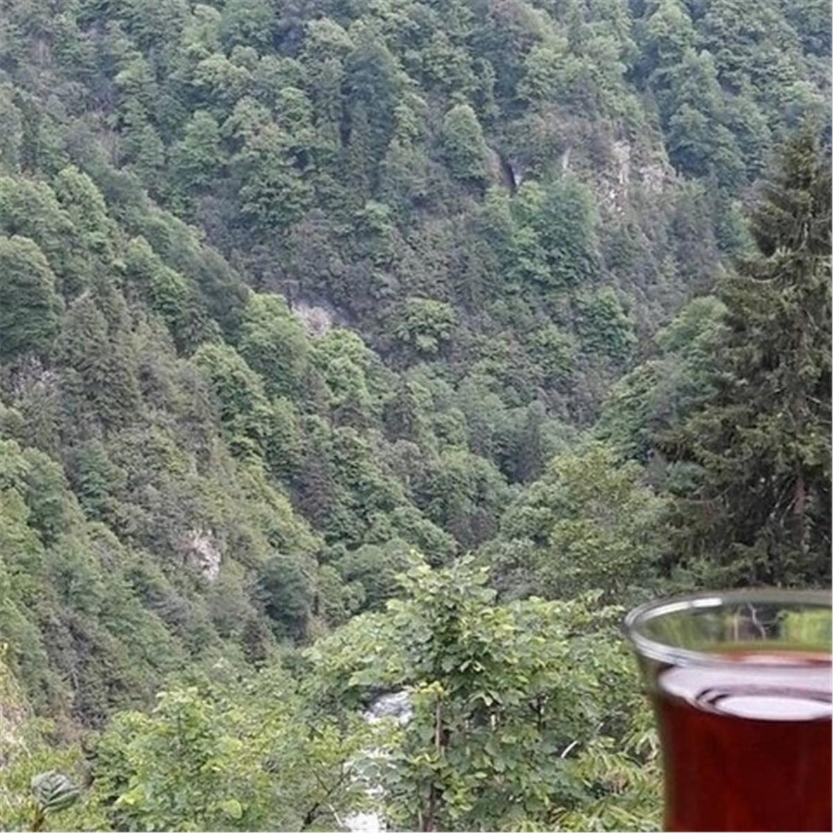 İzmir'den Otobüs İle Çıkışlı 7 Gece 8 Gün Konaklamalı Karadeniz Yaylalar ve Batum Turları