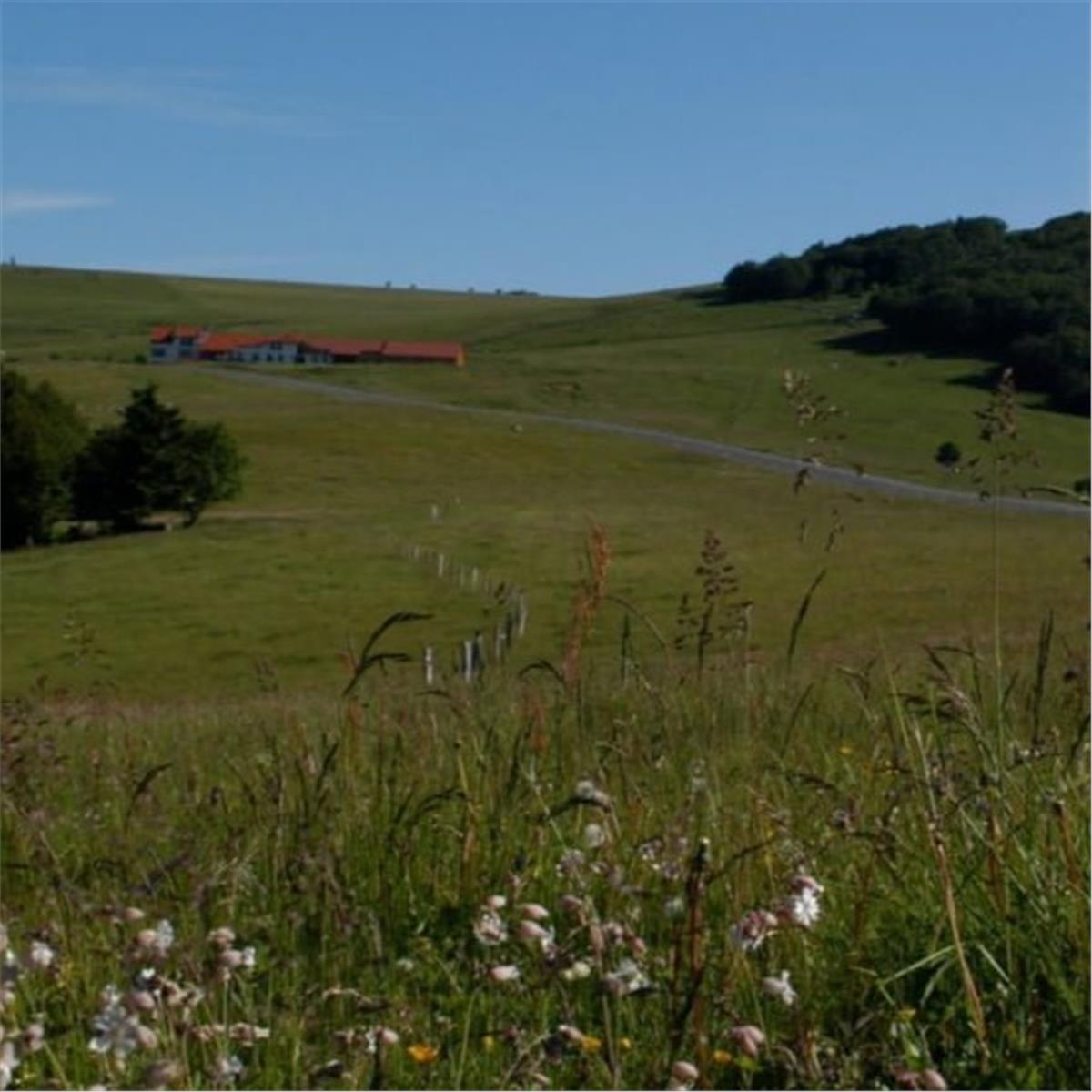 İzmir'den Uçaklı 6 Gece 7 Gün Konaklamalı Fransa İsviçre Almanya Rüyası Turu