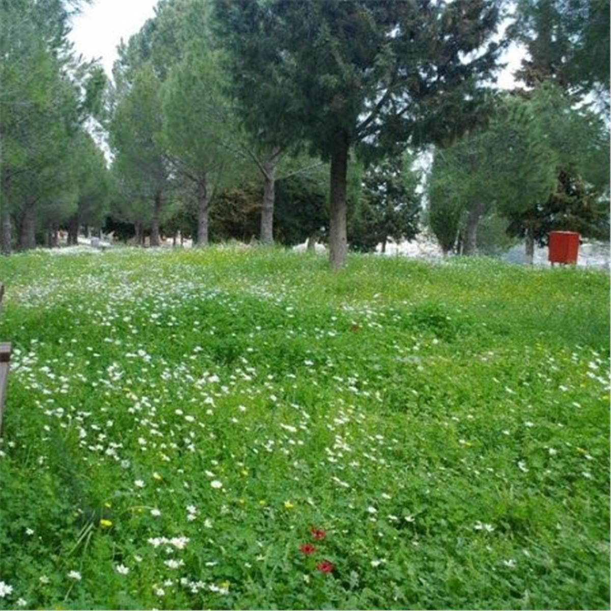 İzmir Çıkışlı Günübirlik Çiçekli Köy Kımız At Çiftliği Turu