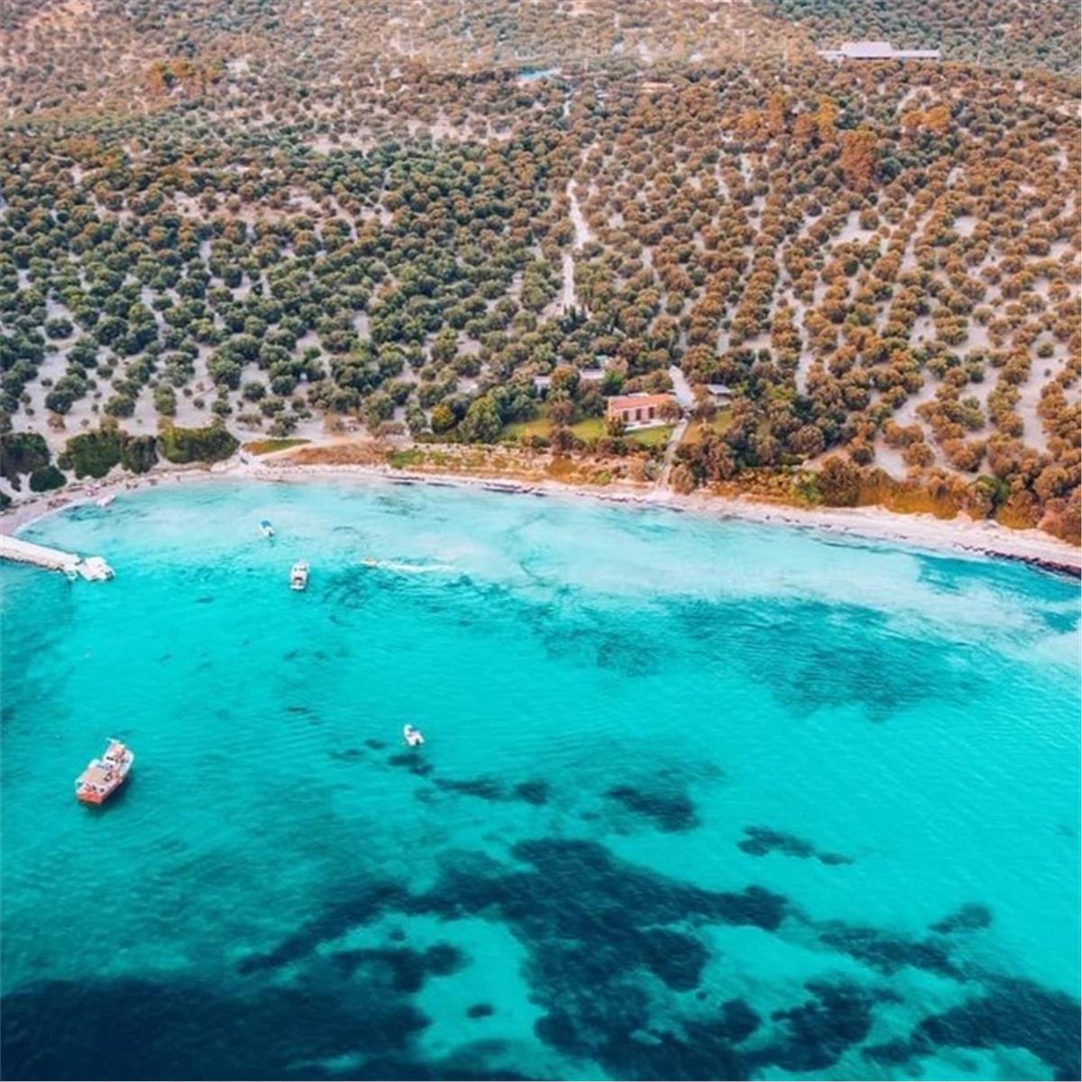 Gün Boyu Yüzme molalı Öğle Yemeği dahil Dikili Tekne Turu 799 TL. İzmir'den Servisli 1.499 TL