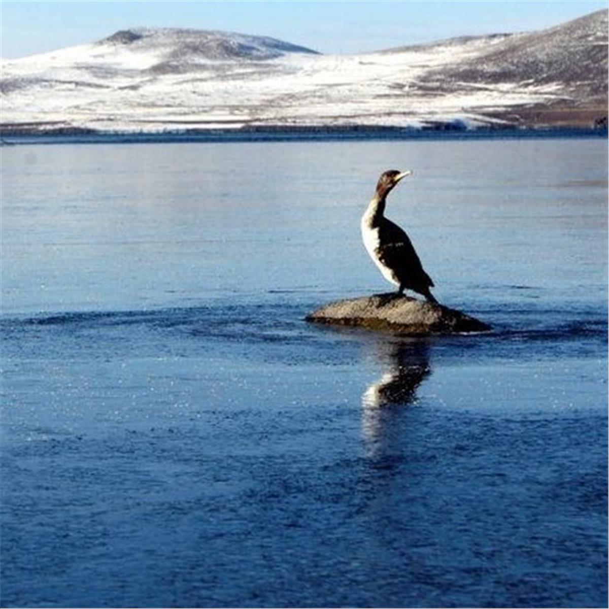 İzmir'den Uçaklı Ramazan Bayramı Özel 3 Gece 4 Gün Konaklamalı Vizesiz Erzurum Kars Batum Tiflis Turu