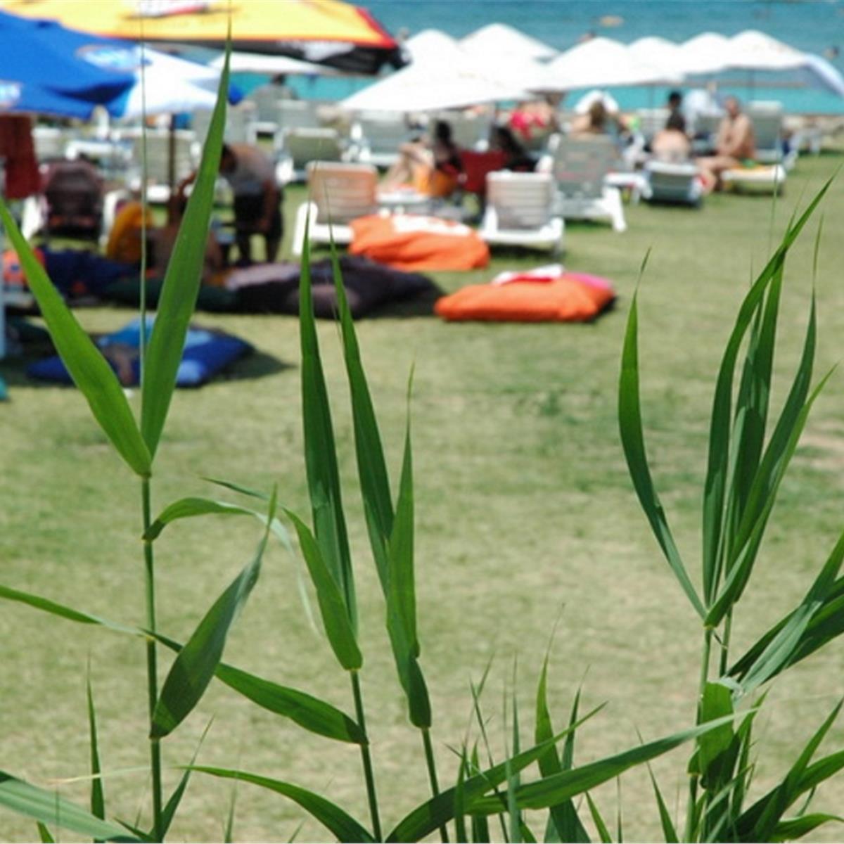 Çeşme Günizi Beach Plaj Paketleri, Beach Kullanımı, Soğuk İçecek ve Patates Kıza