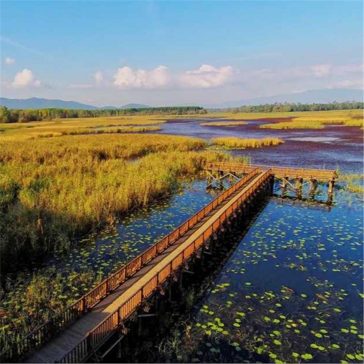 İzmir'den Otobüslü 1 Gece 2 Gün Konaklamalı Düzce Şelaleleri & Efteni Gölü & Akçakoca & Maşukiye Turu