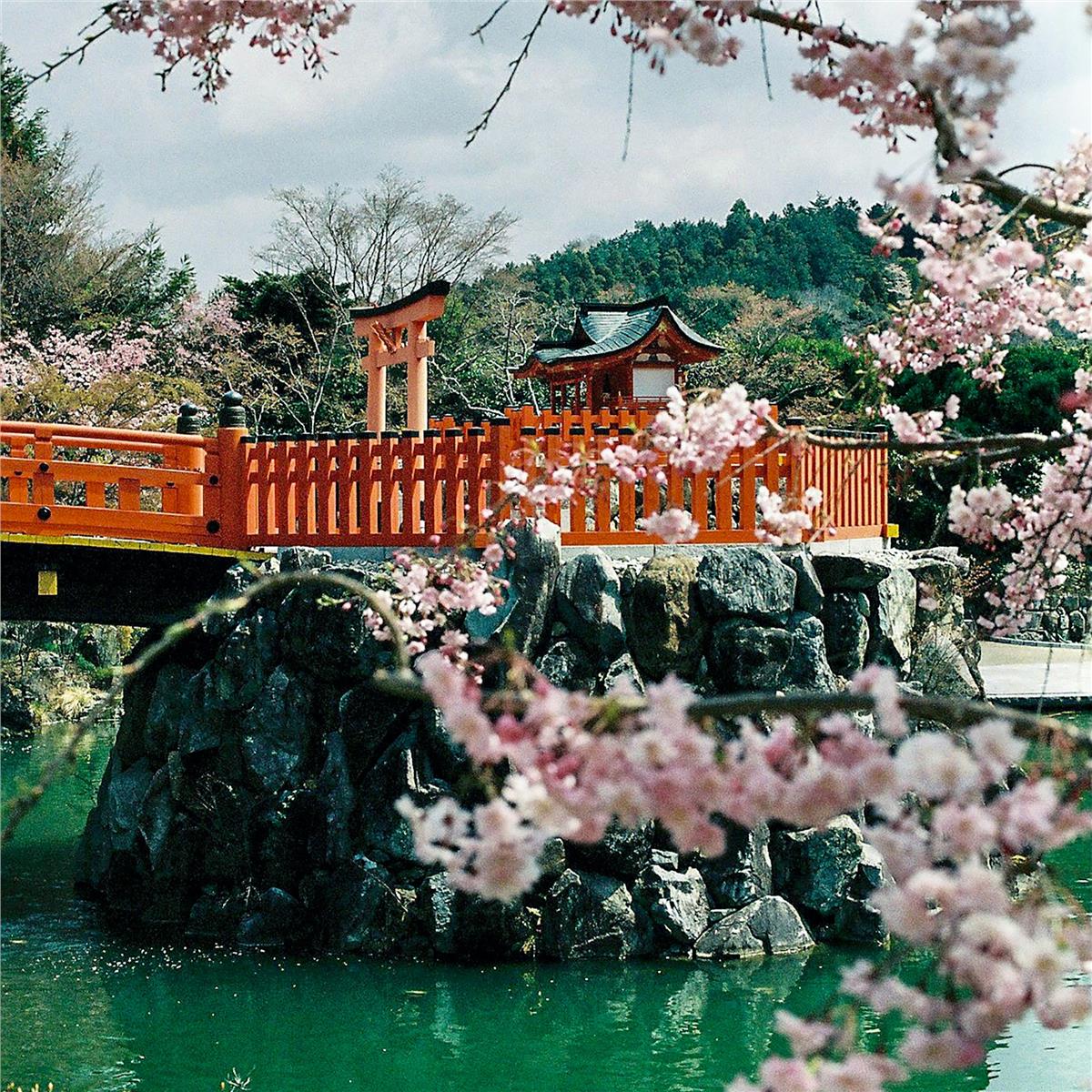 Uçaklı 6 Gece 9 Gün Konaklamalı Dolu Dolu Mistik Rotalar İle Japonya Turu