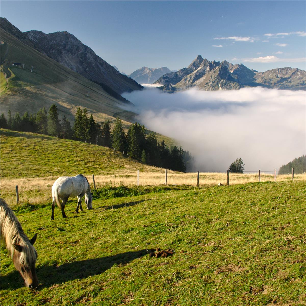 İzmir'den Uçaklı 6 Gece 7 Gün Konaklamalı Fransa İsviçre Almanya Rüyası Turu