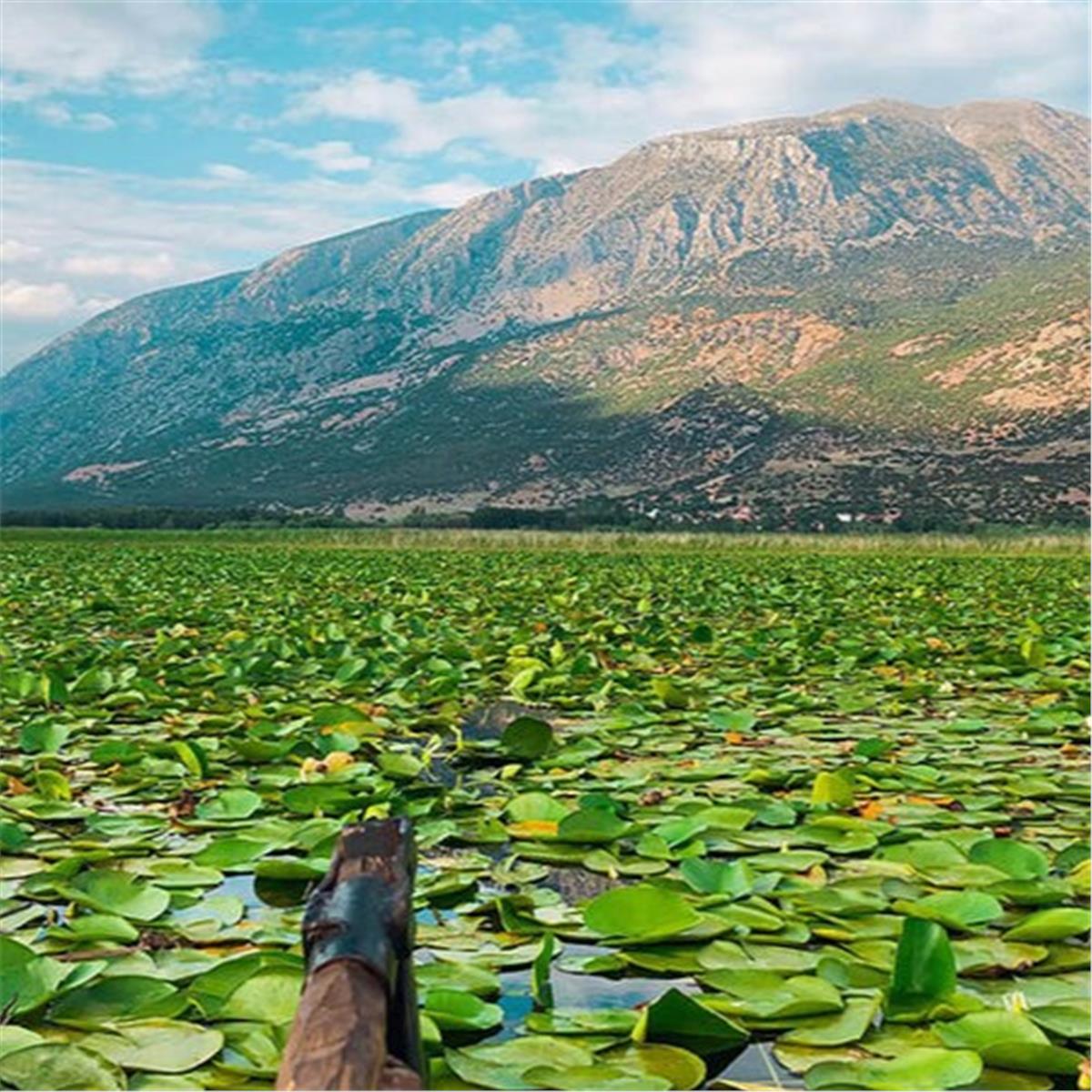 İzmir Çıkışlı Günübirlik Dünyanın En Büyük Nilüfer Tarlası İle Işıklı Gölü Turu