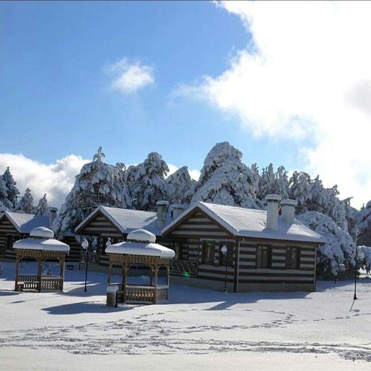 9 Şubat Pazar Nazarköy Kemalpaşa Kımız At Çiftliği, Spil Turu