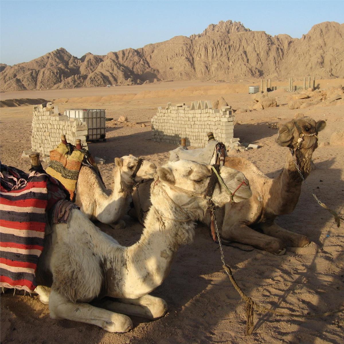 İzmir'den Uçaklı 7 Gece 8 Gün Konaklamalı Mısır, Nil Nehri Fenomenleri ve Sharm Turu