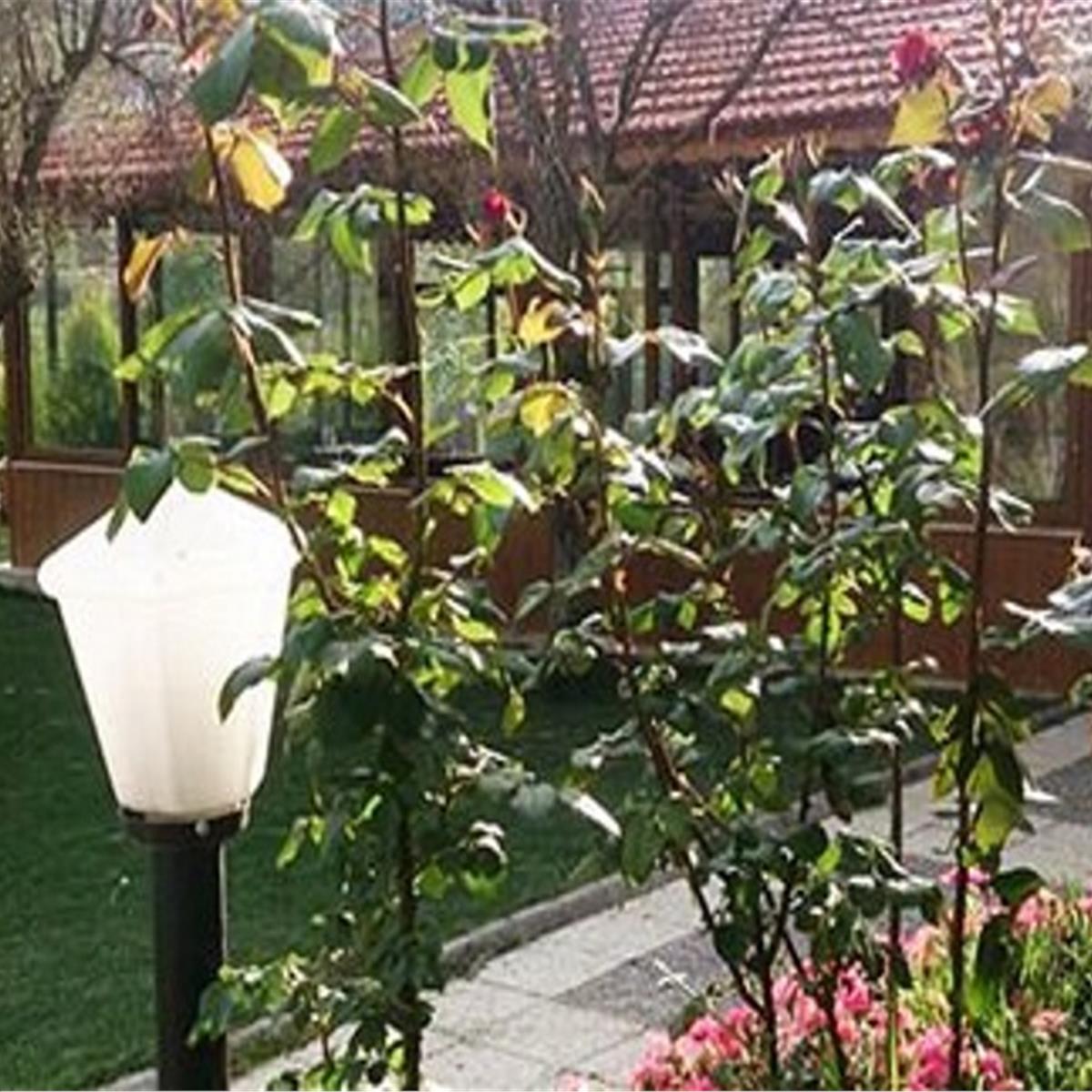 Çiçekliköy Nirvana Restaurant Sahanda Yumurta İle Serpme Köy Kahvaltısı