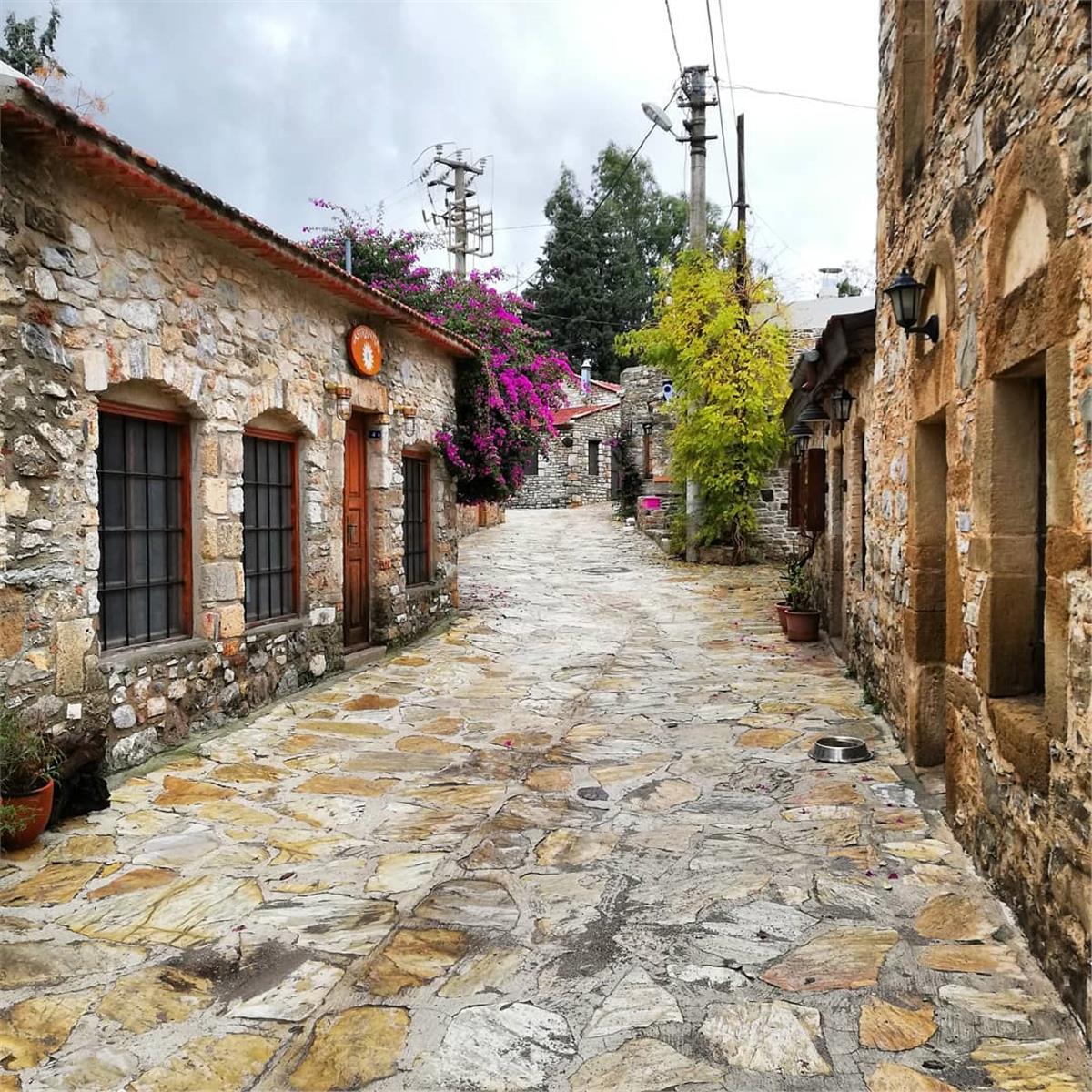 İzmir Kalkışlı Günübirlik Datça Badem Festivali Turu.