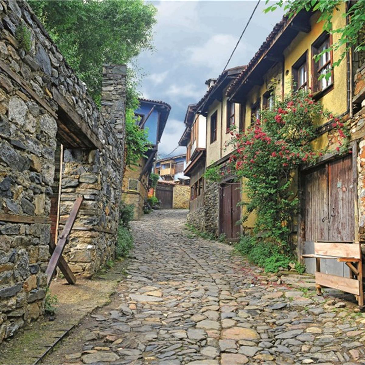 İzmir Çıkışlı Günübirlik Bursa Cumalıkızık Gölyazı Turu Üstelik Kahvaltı Dahil