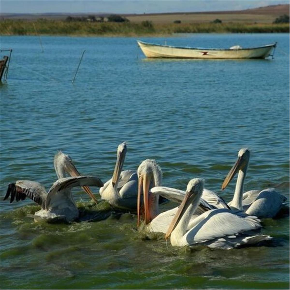 İzmir'den Kalkışlı 1 Gece 2 Gün Konaklamalı Erdek Avşa Turu
